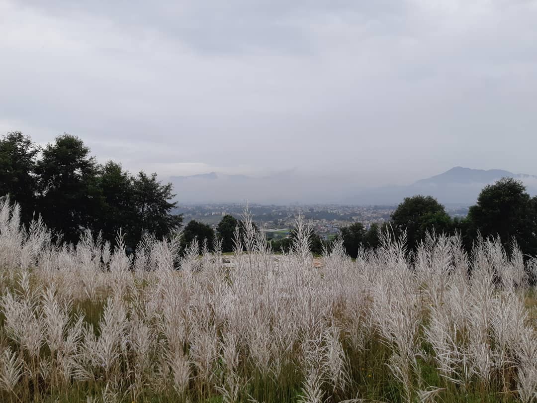 42002308_243791346482923_7653694465743775478_n